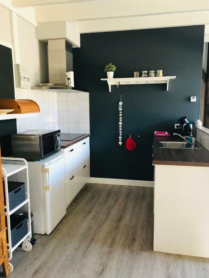 Het Achterhuis - Buitenplaats Ruitenveen, Prive! Nieuwleusen Kültér fotó